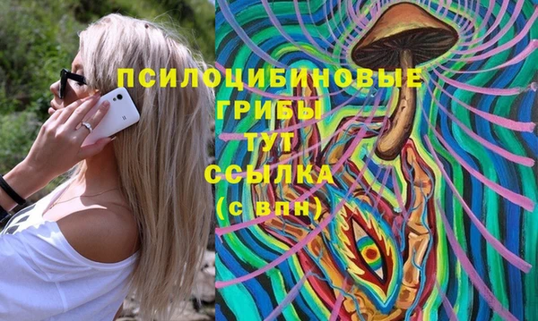 2c-b Каменка