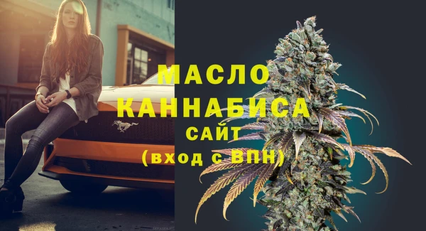 2c-b Каменка