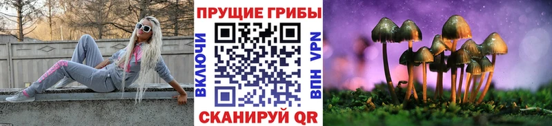 Галлюциногенные грибы мухоморы Будённовск